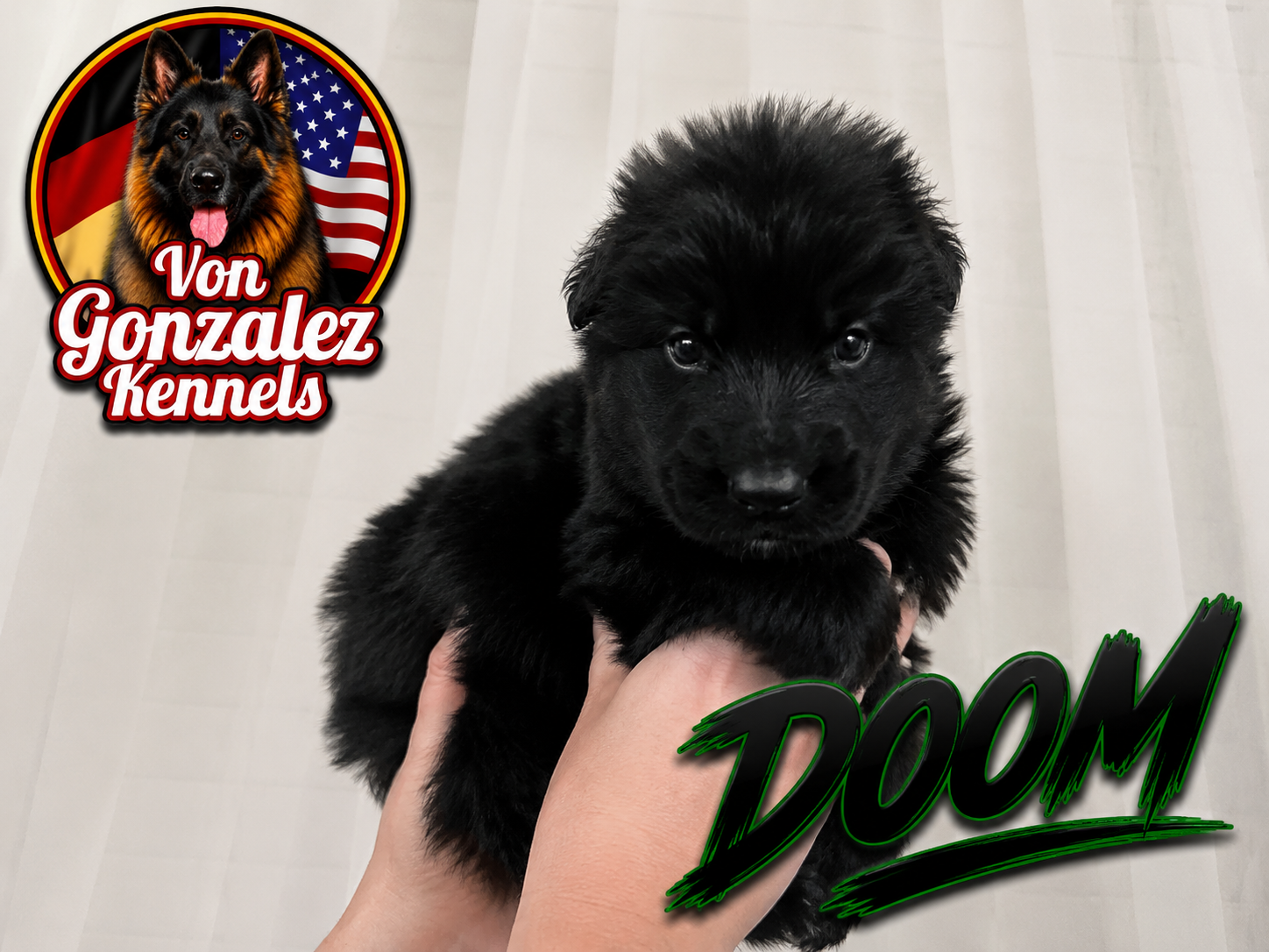DOOM (Von Gonzalez Kennel)