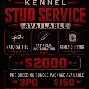 Von Gonzalez Kennel Stud Service